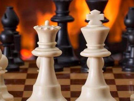 Curated Gaming Wisdom. Expert Insights Meet Passionate Player Community